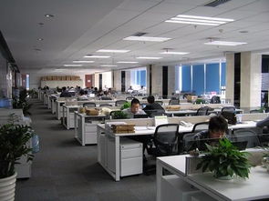 天職國際會計師事務所（特殊普通合伙） 北京信息技術咨詢服務解析